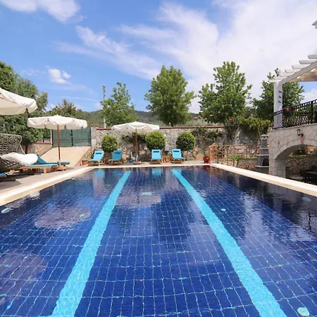 Tn - (adults Only) * فتحية