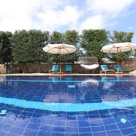 فيلة Tn - (adults Only) فتحية