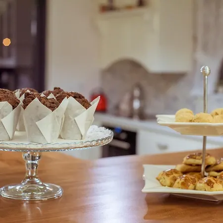 Tn - (adults Only) فيلة فتحية